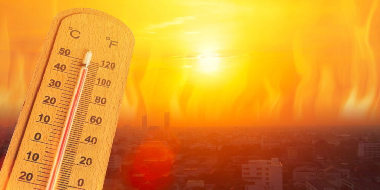 Ondas de calor extremas podem ser perigosas e exige atenção imediata