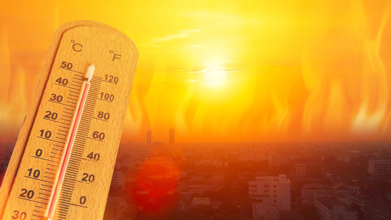 Ondas de calor extremas podem ser perigosas e exige atenção imediata