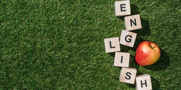 O melhor curso de inglês gratuito para trabalhar na COP30