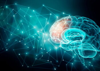 MEC lança curso gratuito de Neuroeducação com certificado oficial