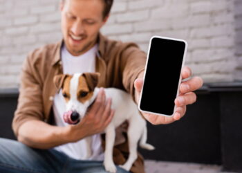 Empresa chinesa lança o primeiro smartphone para cães e gatos