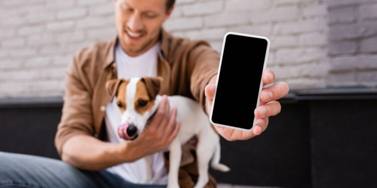 Empresa chinesa lança o primeiro smartphone para cães e gatos