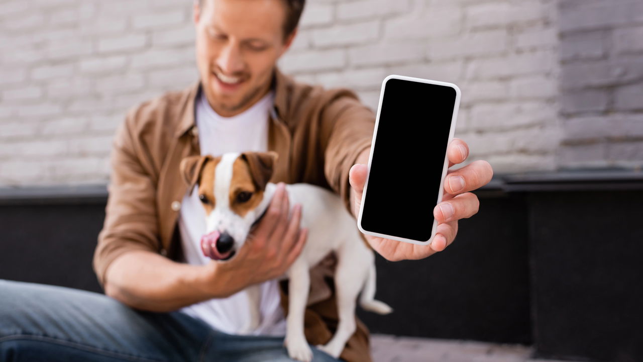 Empresa chinesa lança o primeiro smartphone para cães e gatos