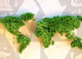 Curso gratuito de pós em energia e sustentabilidade segue com vagas abertas
