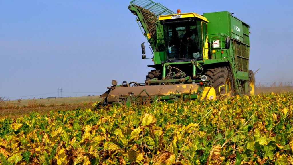 Curso técnico gratuito em agropecuária tem vagas abertas em SP