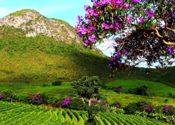 Esse destino no interior baiano encanta com suas paisagens deslumbrantes