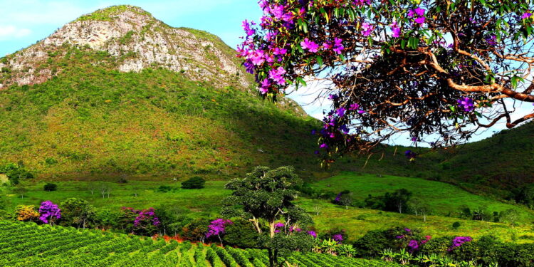 Esse destino no interior baiano encanta com suas paisagens deslumbrantes