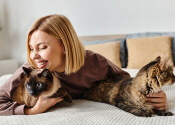 Por que os gatos ronronam? Entenda os vários motivos desse som felino