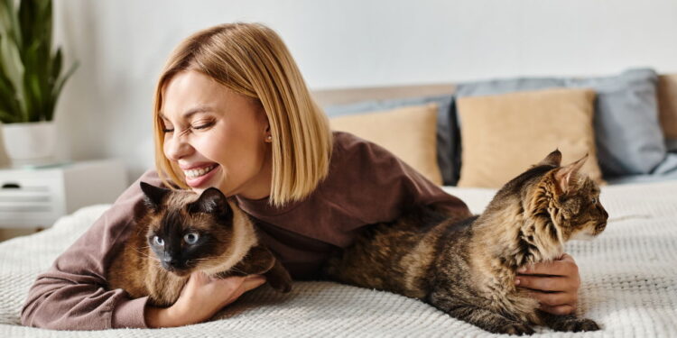 Por que os gatos ronronam? Entenda os vários motivos desse som felino