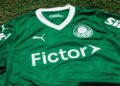 palmeiras fictor