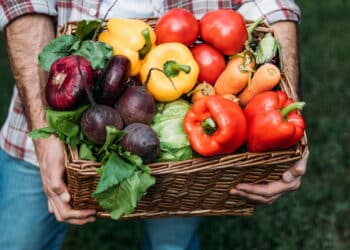 UFPI se destaca com curso de agroecologia avaliado pelo MEC