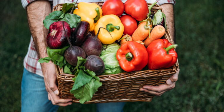 UFPI se destaca com curso de agroecologia avaliado pelo MEC