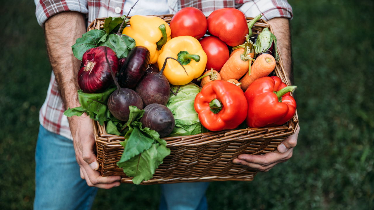 UFPI se destaca com curso de agroecologia avaliado pelo MEC