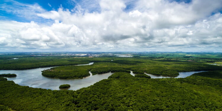 Você não vai acreditar no tamanho das maiores cidades da Amazônia