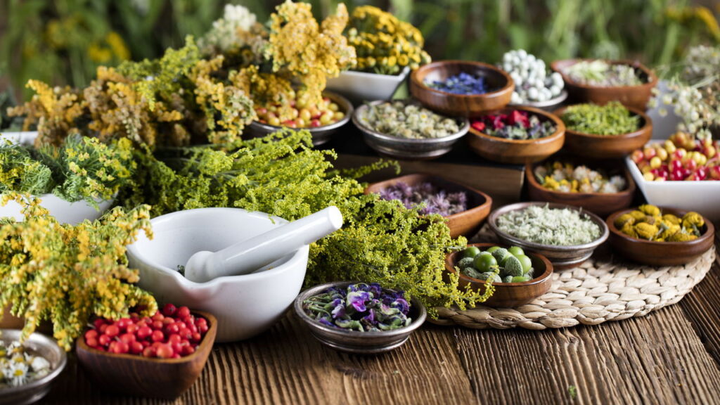 Fiocruz abre curso gratuito de plantas medicinais com certificado online