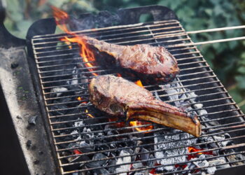 Grelha de churrasco - Créditos: depositphotos.com / AntonMatyukha