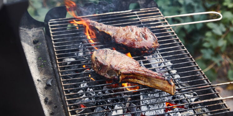 Grelha de churrasco - Créditos: depositphotos.com / AntonMatyukha