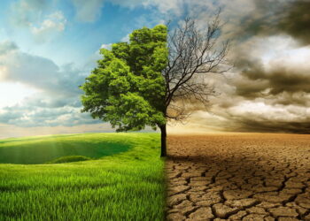 Conheça o curso gratuito que te prepara para a COP30 em Belém