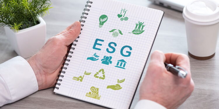 Carreira verde em alta! Conheça as oportunidades em empresas ESG
