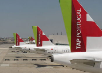 TAP proíbe cão de serviço e provoca polêmica que abala o setor aéreo