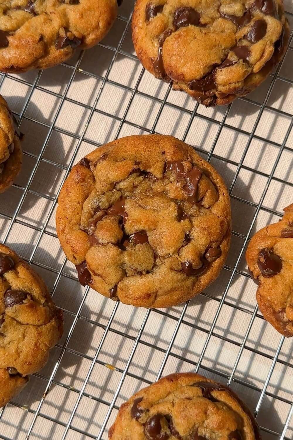 cookie