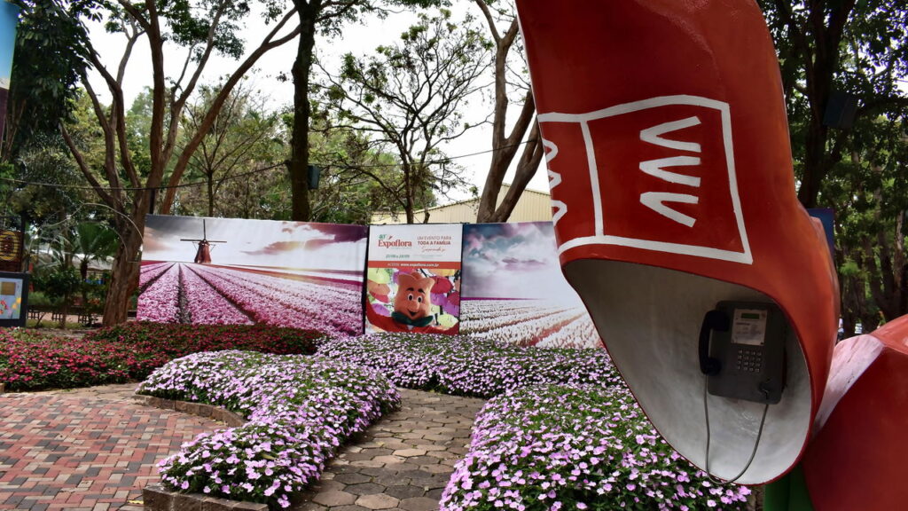 Cidade do interior paulista parece a Holanda e surpreende com suas flores