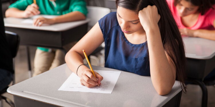 Unijorge oferece curso de férias gratuito com certificado