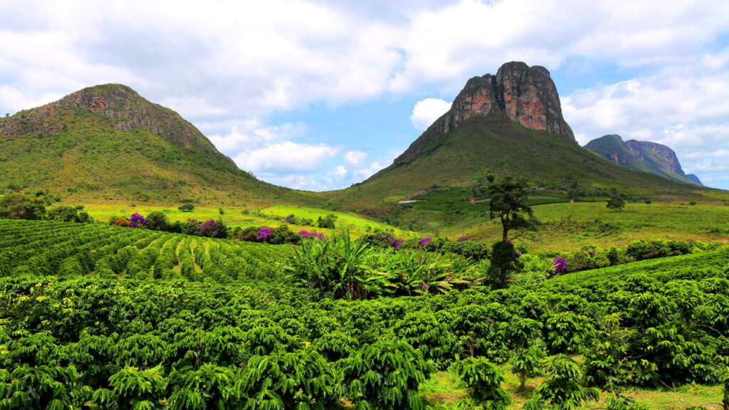A região mais encantadora da Bahia une cultura, natureza e bem-estar