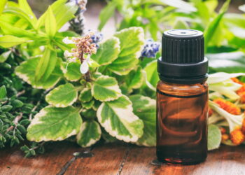 Planta aromática barata bonita e que repele mosquitos naturalmente