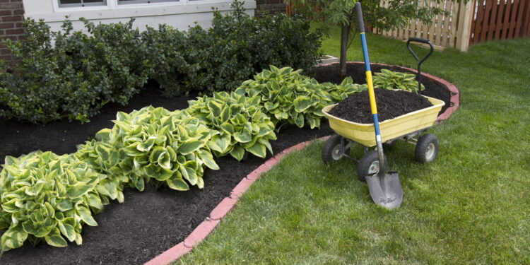 Evite essas combinações de plantas no seu jardim