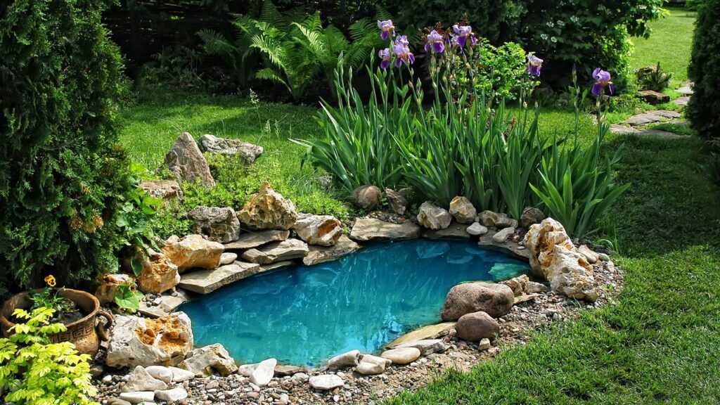 Evite essas combinações de plantas no seu jardim