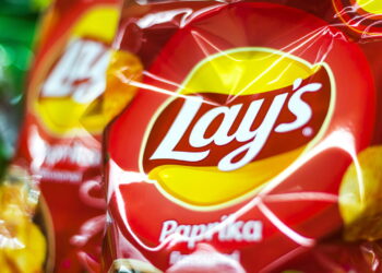 Como a Lay's se tornou a batata chips mais vendida e famosa do mundo!