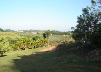 Essa cidade do interior de SP virou exemplo de segurança e inovação