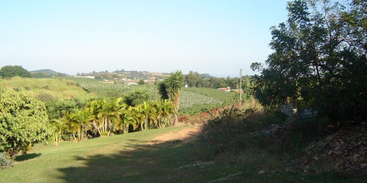 Essa cidade do interior de SP virou exemplo de segurança e inovação