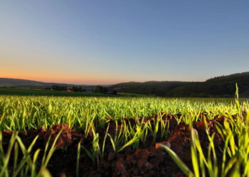 "Sanções dos EUA elevam alerta no agro", avalia economista