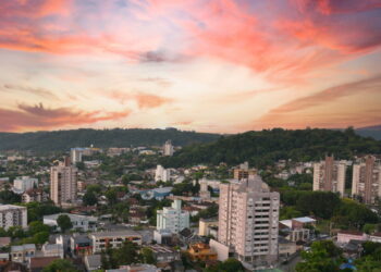 Brócolis caseiro cresce em qualquer varanda com apenas quatro horas de sol