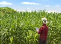 Especialista explica a 'transição política' do setor agro