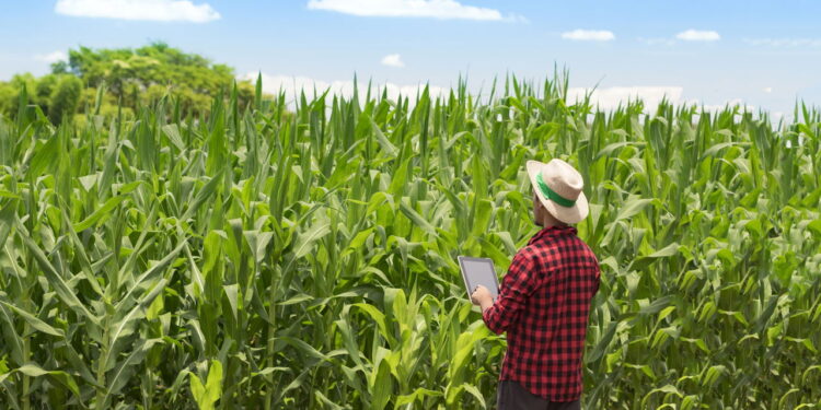 Especialista explica a 'transição política' do setor agro