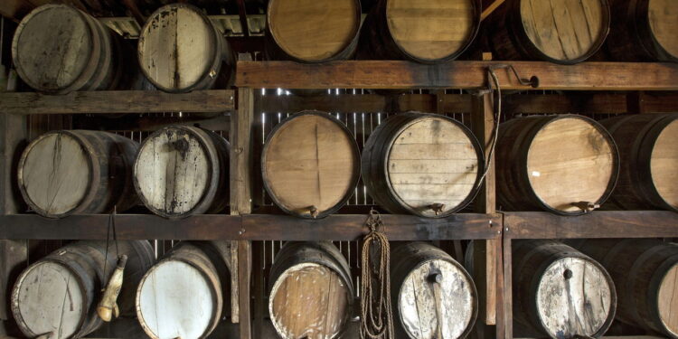 IFNMG lança curso único com ênfase em cachaça artesanal