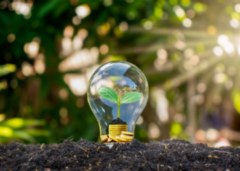 Como o Brasil quer transformar governança climática em liderança global; entenda