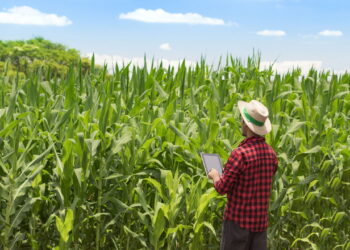 "Inadimplência no agro afeta PIB e restringe crédito", aponta especialista