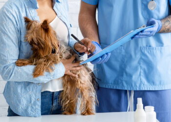 O Analisto Visita a Guapeco, referência em benefício pet corporativo