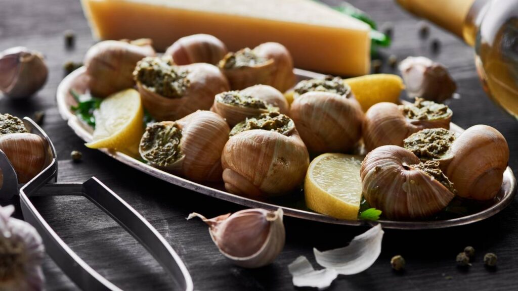 Conheça a origem milenar do escargot, o caracol que virou alta gastronomia!