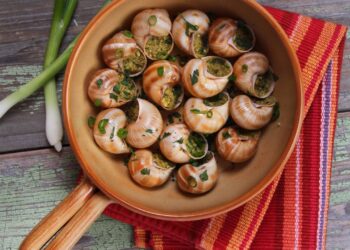 Conheça a origem milenar do escargot, o caracol que virou alta gastronomia!