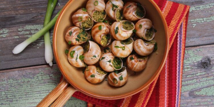 Conheça a origem milenar do escargot, o caracol que virou alta gastronomia!