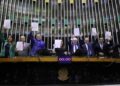 Foto: Kayo Magalhães / Câmara dos Deputados