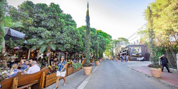 A cidade de São Paulo que combina flores, tradição holandesa e tranquilidade