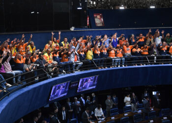 Agentes Comunitários de Saúde e Agentes de Combate às Endemias comemoram resultado no plenário do Senado
(Foto: Jonas Pereira/Agência Senado)