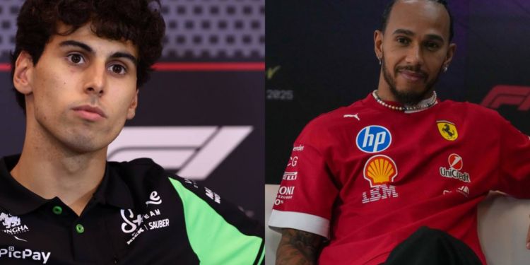 Fotos: depositphotos.com / canno73 e depositphotos.com / demarco.alessio@gmail.com