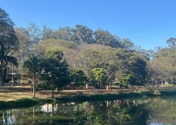 Parque Ibirapuera